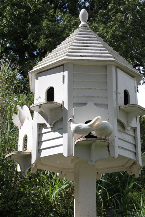traditional dovecote bird house bird houses garden birdhouses