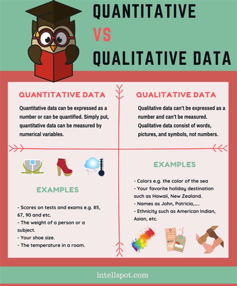 qualitative  quantitative data infographic  examples research