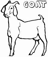 Goat Coloring Pages Printable Template Clip Clipart Print sketch template