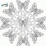 Mandala Coloring Butterfly Pages Printable Butterflies Mandalas Animal Book Template Adult Print Adults Library Clipart Abstract Getdrawings Zentangle Popular Neo sketch template