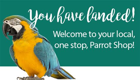 parrot shop canadas largest  parrot store parrot supplies   parrot shop
