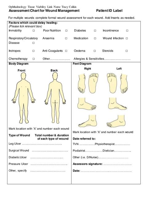 assessment chart  wound management patient id lab