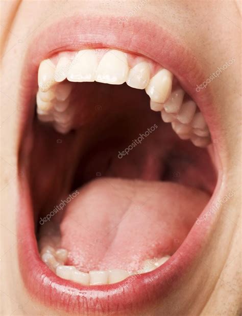 open mouth stock photo  designpicsinc