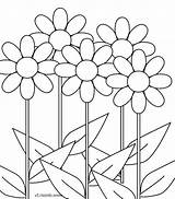 Daisy Bunga Mewarnai Sunflowers Diwarnai Daisies Inilah Bangkai Raflesia Storey Disimpan sketch template