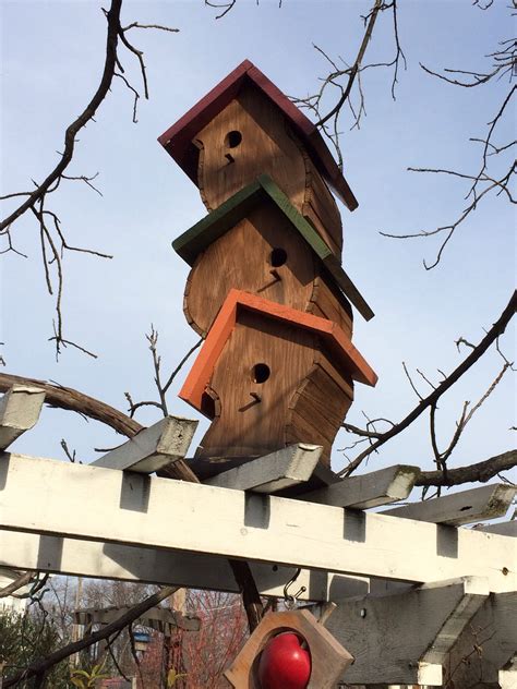 crazy bird homes bird house bird houses birdhouses rustic