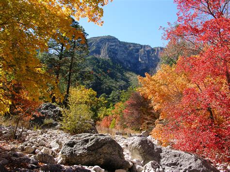 fall colors report guadalupe mountains national park  national