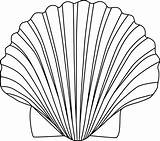 Shell Drawing Clipart Getdrawings sketch template