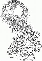 Paon Coloriage Peacock Coloriages sketch template