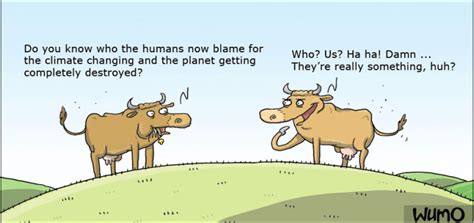 the cows are to blame wumo