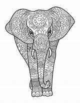 Animals Color Coloring Pages Adult Animal Mandala Book Books Wild Adults Choose Board Amazing Kids sketch template