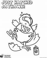 Coloring Jayhawk Pages Getcolorings Printable sketch template