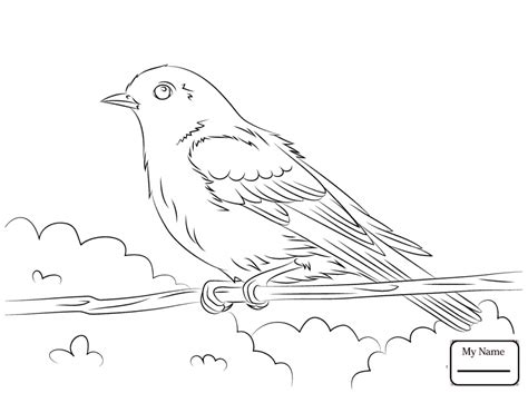 blue bird coloring pages  getdrawings