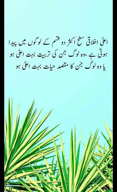 pin by maira on poetry wisdom quotes inspirational quotes urdu quotes