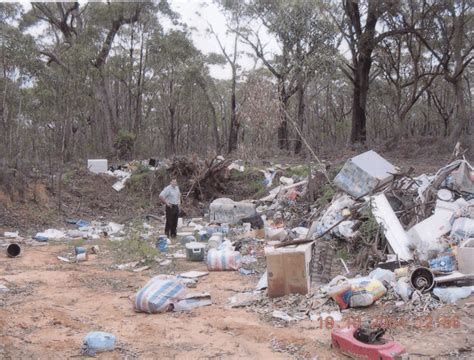 taxpayer cost  litter cost americans  billionyear