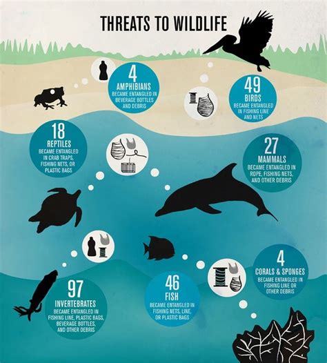 threats  wildlife ocean conservation wildlife conservation