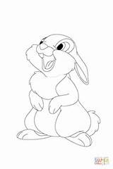 Coloring Thumper Pages Horizon Laughing Drawing Printable Into Drawings 52kb 900px sketch template