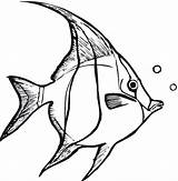 Fish Pesti Colorat Desene Angelfish Peste Planse Seaweed Poissons Ryba Diversi Kaiserfisch Kolorowanka Kleurplaten Anges Clipartmag Ausmalbild Fise Outlines Kolorowanki sketch template