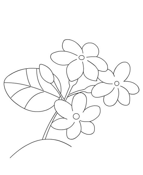 coloring pages jasmine printable  kids adults