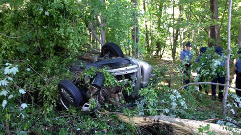 car crashes  tree    del   newark