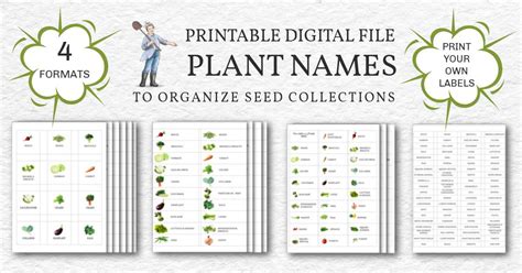 printable plant  label files  organizing seeds