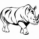 Coloring4free Rhinoceros sketch template