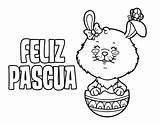 Pascua Colorear Pascuas Felices Deseo Pasqua Tarjetas Huevos Conejo Fiestas Preescolar Colorare Celebracion Acolore sketch template