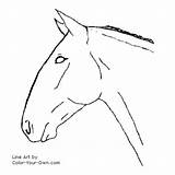 Standardbred Horse Coloring Pages Color Headstudy Head Index Line Own sketch template