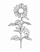 Coloring Pages Sunflower Kids Color Recognition Develop Ages Creativity Skills Focus Motor Way Fun sketch template