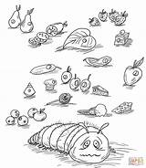 Hungry Caterpillar Coloring Very Pages Drawing Printables Foods Fruits Eric Carle Book Printable Junie Jones Raupe Nimmersatt Color Supercoloring Clipart sketch template