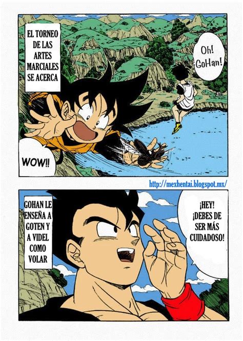 Dragon Ball H A Color