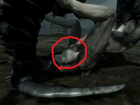 sos schlongs of skyrim penis and balls stretched