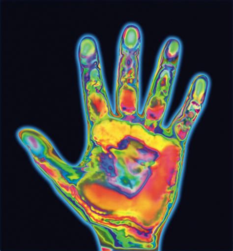 thermal imaging shows effects  cold