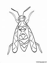 Wasp Avispas Designlooter sketch template