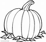 Pumpkin Outline Coloring Pages Printable Pumpkins Drawing Simple Halloween Christian Print Blank Drawings Color Sheet Templates Template Clip Sheets Fall sketch template