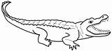 Coloring Crocodile Alligator Pages Printable Outline Kids Caiman Nile Color Drawing Cartoon Print Line Alligators Colouring Clipart Getcolorings Drawings Getdrawings sketch template