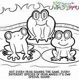 Coloring Frogs Nature Pages Printable sketch template