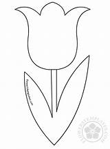 Tulip Flower Shape Coloring Flowers Templates sketch template