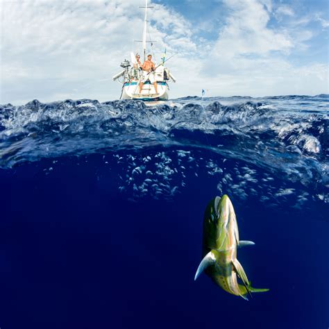 underwater photo photographer anhede kickass