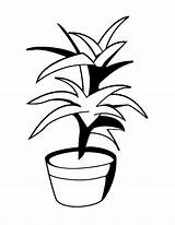 Pflanze Ausmalbilder Ausmalbild Houseplant sketch template