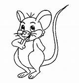 Coloring Rat Pages Colouring Mouse Library Clipart sketch template