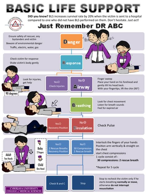 basic life support google search cme general pinterest