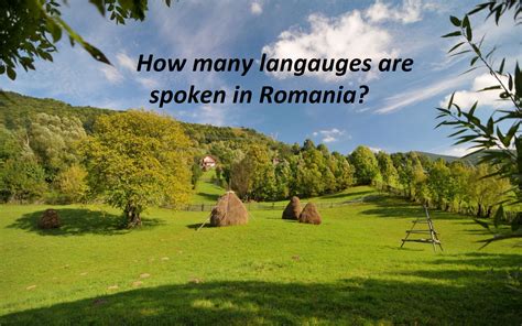 languages  spoken  romania world info