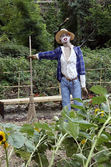 Scarecrow In A Garden Photograph By Tony Craddock