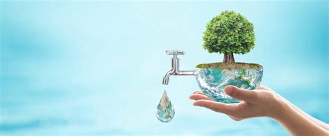 importancia del agua  como ahorrarla