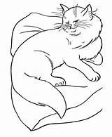 Coloring Cat Persian Sleeping Button Through Print Grab Feel Well Kids sketch template