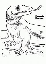 Komodo Dragon Coloring Pages Tongue Color Popular Getcolorings Printable Getdrawings Coloringhome sketch template