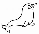 Robbe Ausmalbild Ausmalen Malvorlage Seehund Seerobbe Smiley Malen Komputer Ando sketch template