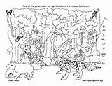 Hidden Rainforest Amazon Coloring Printable Find Pages Kids Object Objects Puzzles Drawing Printables Layers Easy Ll Halloween Search Color Worksheets sketch template