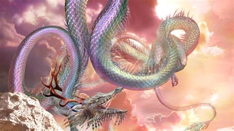 cool chinese dragon wallpapers select  favorite images