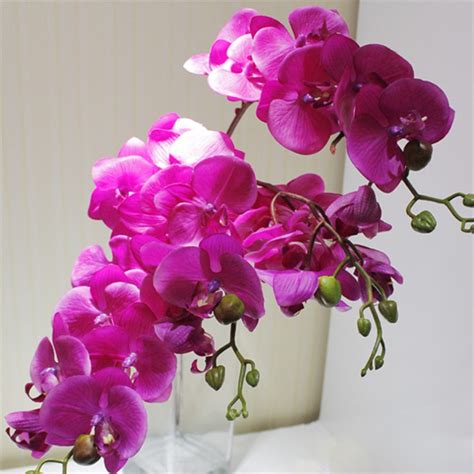 6p Real Touch Orchids Butterfly Phalaenopsis White Fuchsia